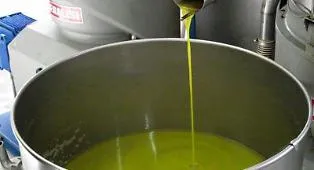 In mezza Sicilia si ferma la raccolta delle olive: &laquo;A 6,70 euro al kg non copriamo le spese&raquo;, Comuni con gli agricoltori