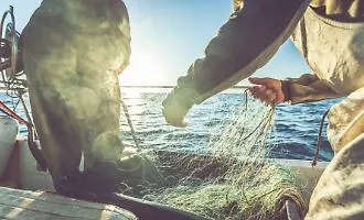 Pesca siciliana in crisi, spiragli dall'Europa. Il commissario in Sicilia: &laquo;Riforma entro l&rsquo;anno&raquo;
