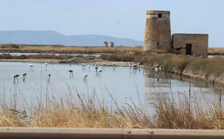 Le Saline di Sicilia candidate a riserva della biosfera Unesco
