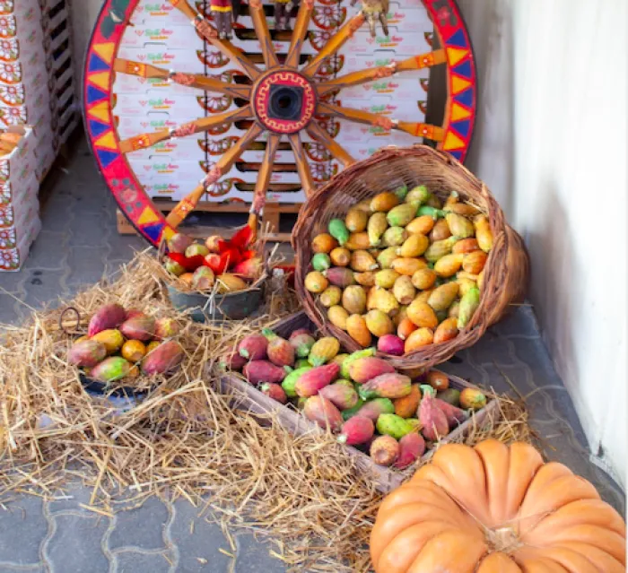La Sagra del ficodindia di San Cono festeggia 40 anni: food, concerti, una sfida tra chef con giuria presieduta da Ciccio Sultano